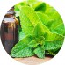 Peppermint E/O: Vital Herb